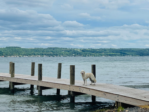 Winery «Sheldrake Point Winery», reviews and photos, 7448 County Rd 153, Ovid, NY 14521, USA