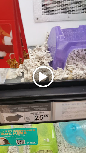 Pet Supply Store «Petco Animal Supplies», reviews and photos, 1052 Williams Reserve Blvd, Wadsworth, OH 44281, USA
