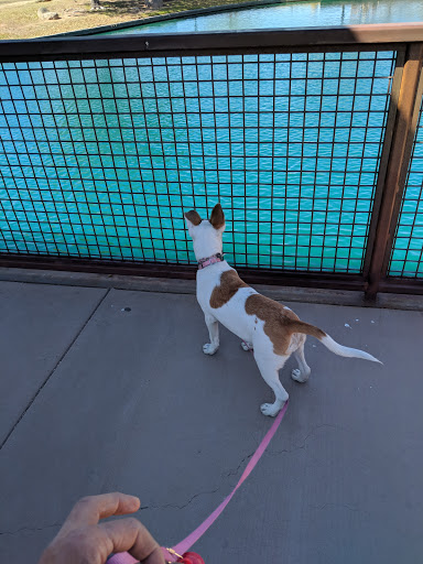 City Park «Steele Indian School Park», reviews and photos, 300 E Indian School Rd, Phoenix, AZ 85012, USA