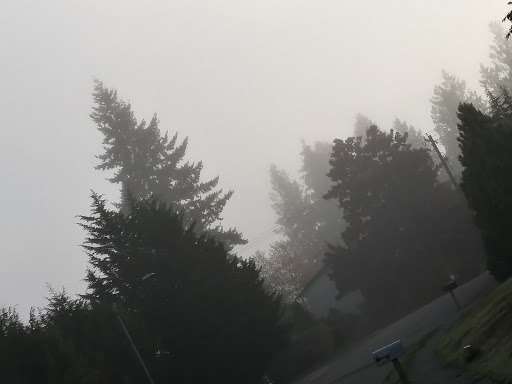 Park «North Lynnwood Park», reviews and photos, 18510 44th Ave W, Lynnwood, WA 98037, USA