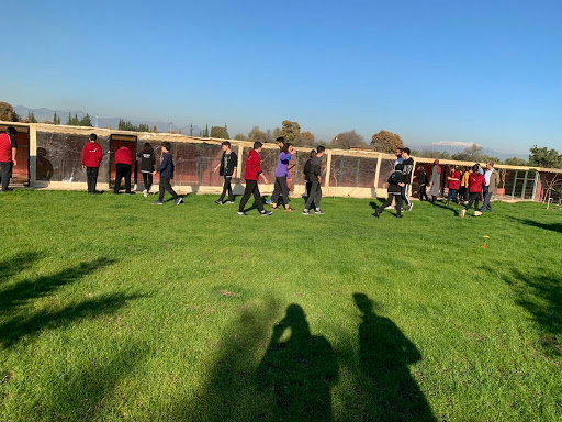 Antalya Kopek Oteli Kepez Antalya