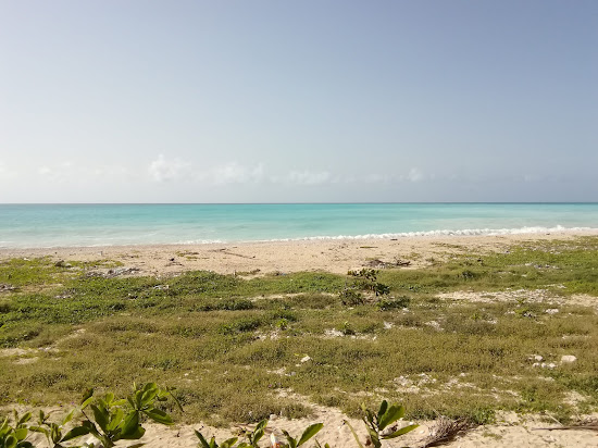 Punta Arena beach