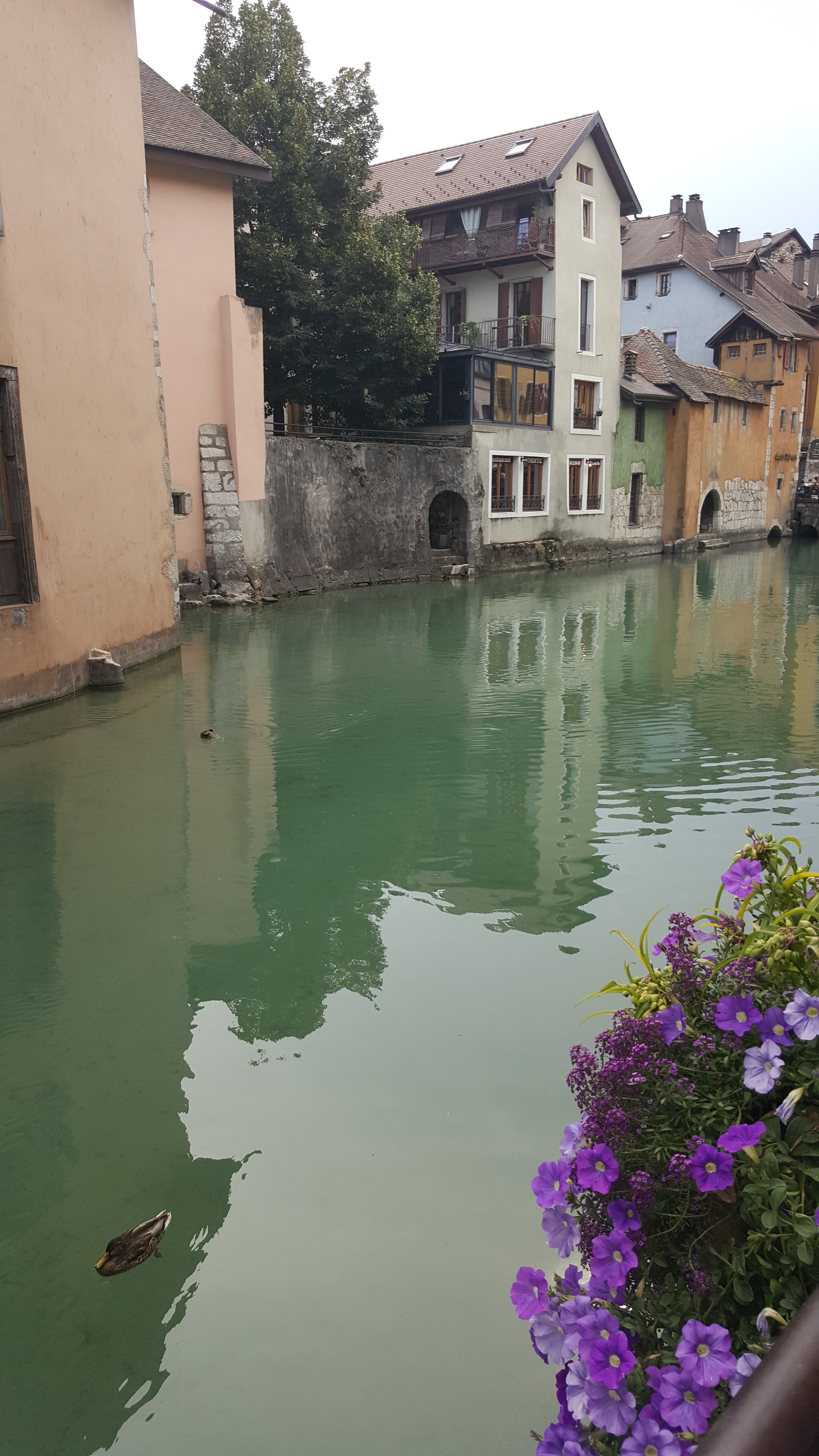 Photo n° 2 de l'avis de Galina.a fait le 16/08/2020 à 19:47