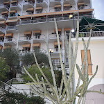 Photo n°1 de l'avis de the.i fait le 02/10/2019 à 05:54 sur le  Hotel Mediterraneo Cavi à Cavi di Lavagna