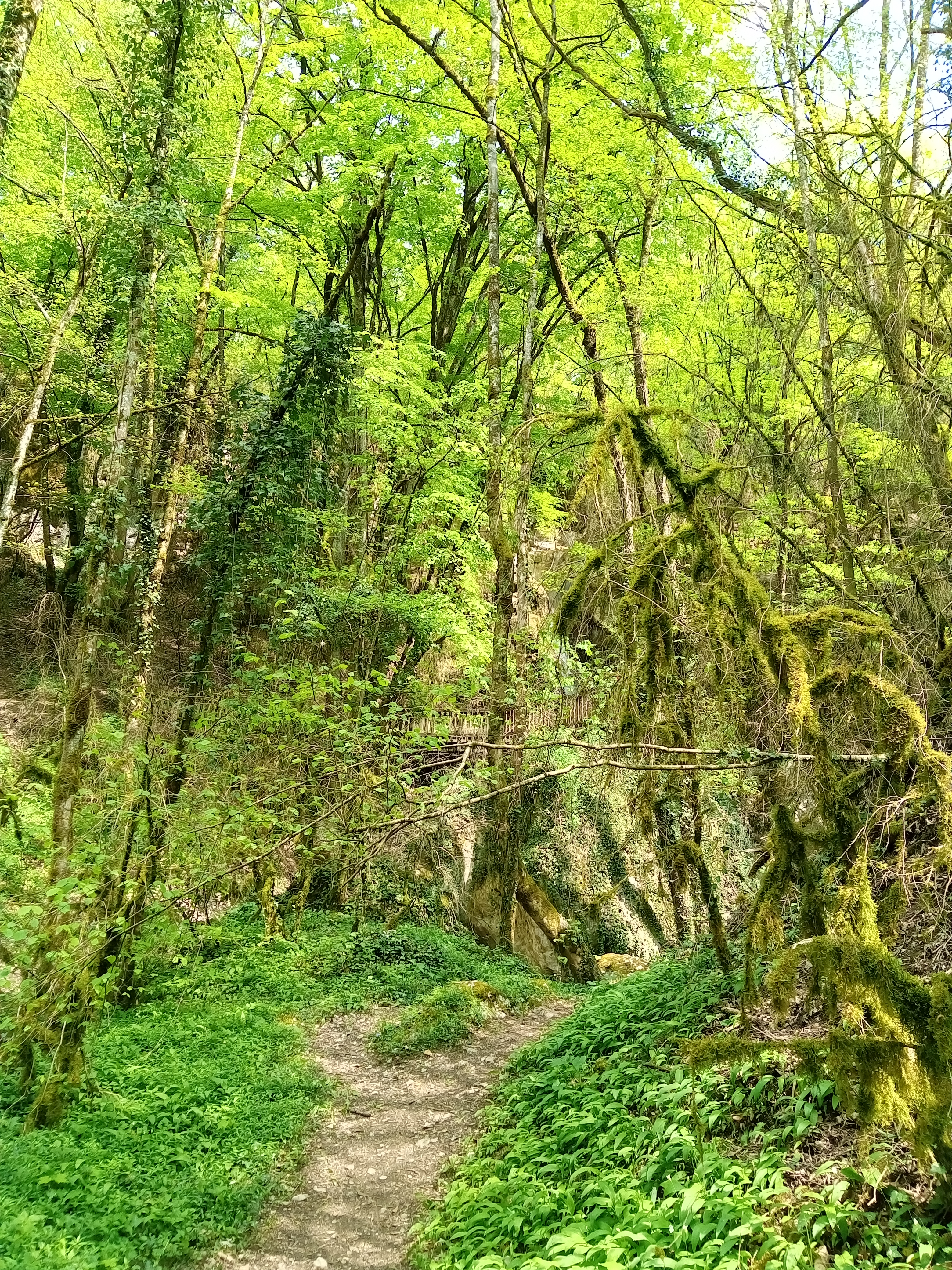 Photo n° 8 de l'avis de Sandrine.e fait le 03/04/2019 à 13:52