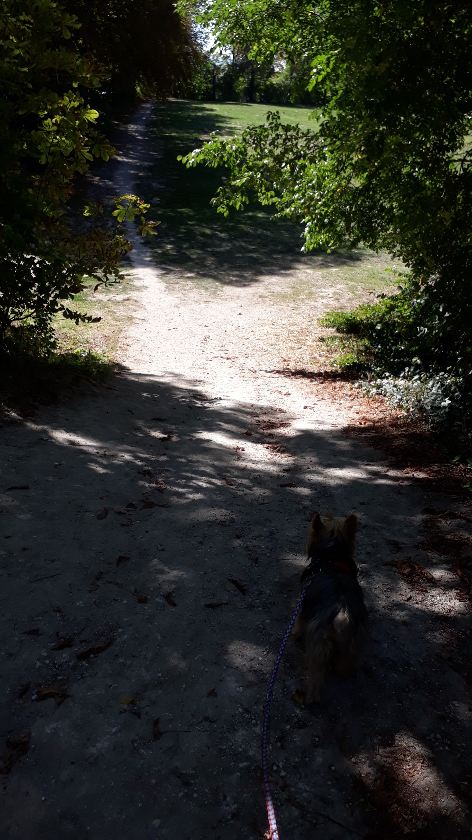 Photo n° 6 de l'avis de Veronique.a fait le 15/09/2019 à 13:59