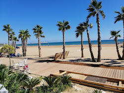 Spiaggia Maganuco'in fotoğrafı - rahatlamayı sevenler arasında popüler bir yer