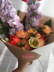 Clover Bloom Co.