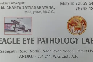 Eagle Eye Pathology lab image