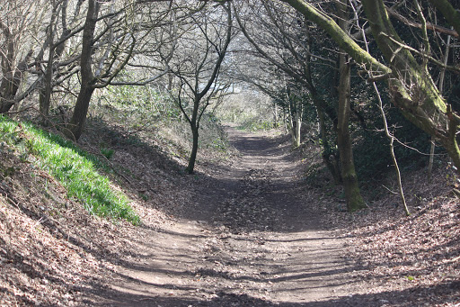 Barr Beacon Quarry