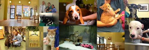 200 Avenue A, New York, NY 10009, USA