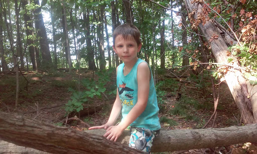 Golf Club «Eagle Creek Golf Club», reviews and photos, 8802 W 56th St, Indianapolis, IN 46234, USA