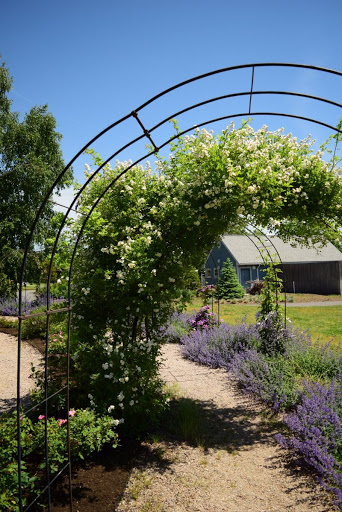 Botanical Garden «Roger Williams Park Botanical Center», reviews and photos, 1000 Elmwood Avenue, Providence, RI 02905, USA