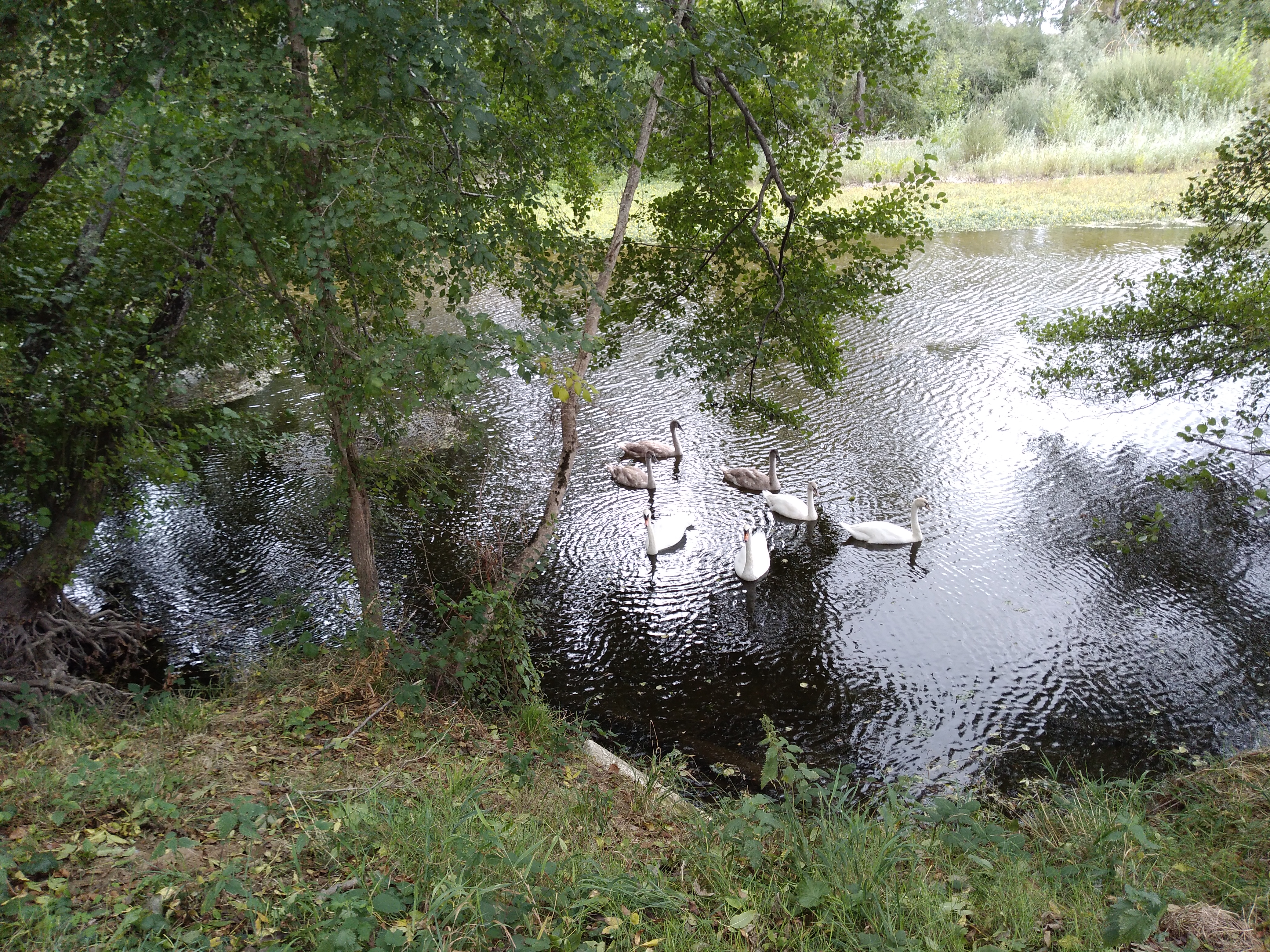 Photo n° 2 de l'avis de Gilles.a fait le 01/10/2020 à 14:46