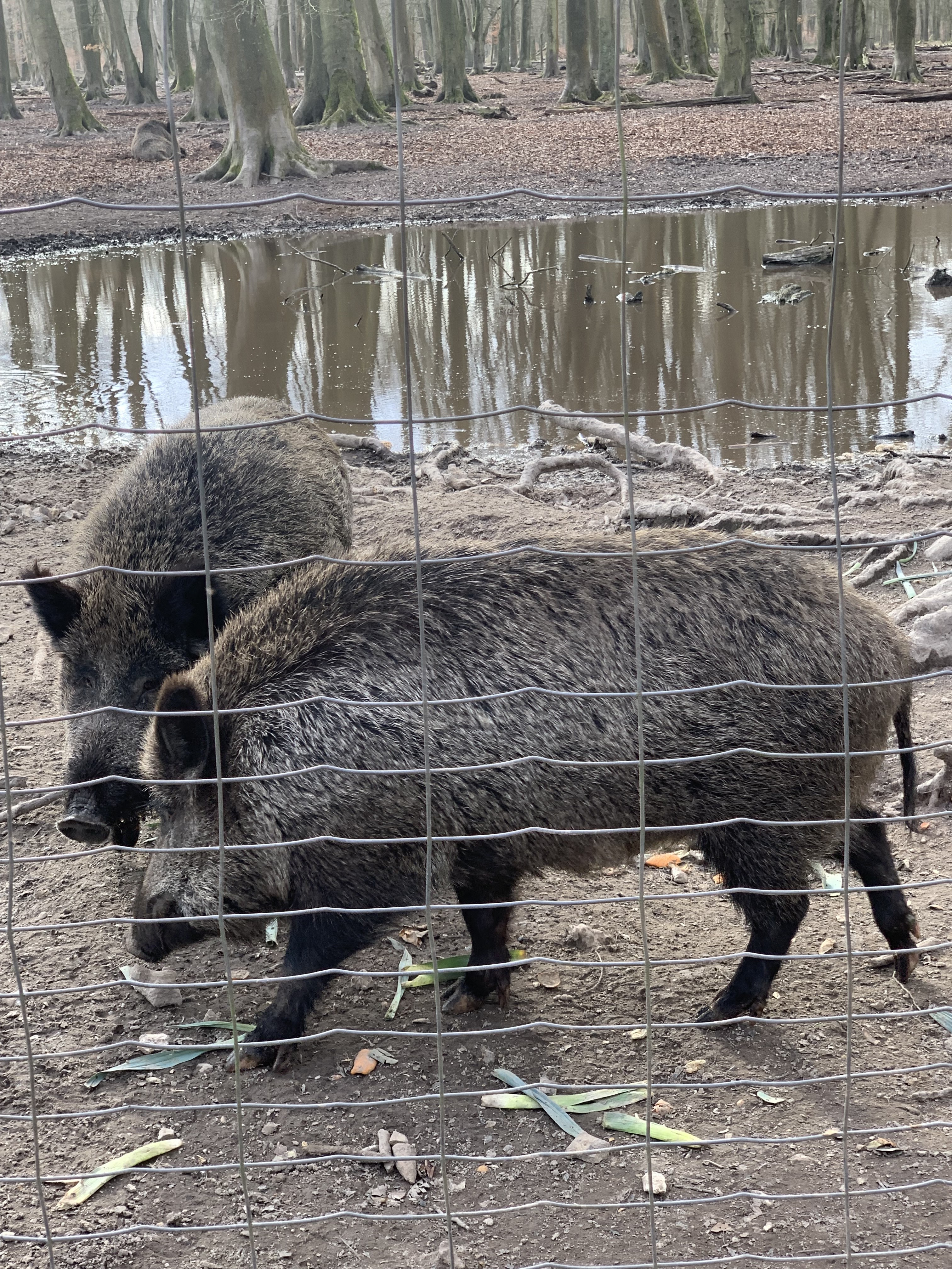 Photo n° 3 de l'avis de S... fait le 16/03/2023 à 19:36