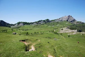 Campas de Arraba (Parque Natural del Gorbeia) image