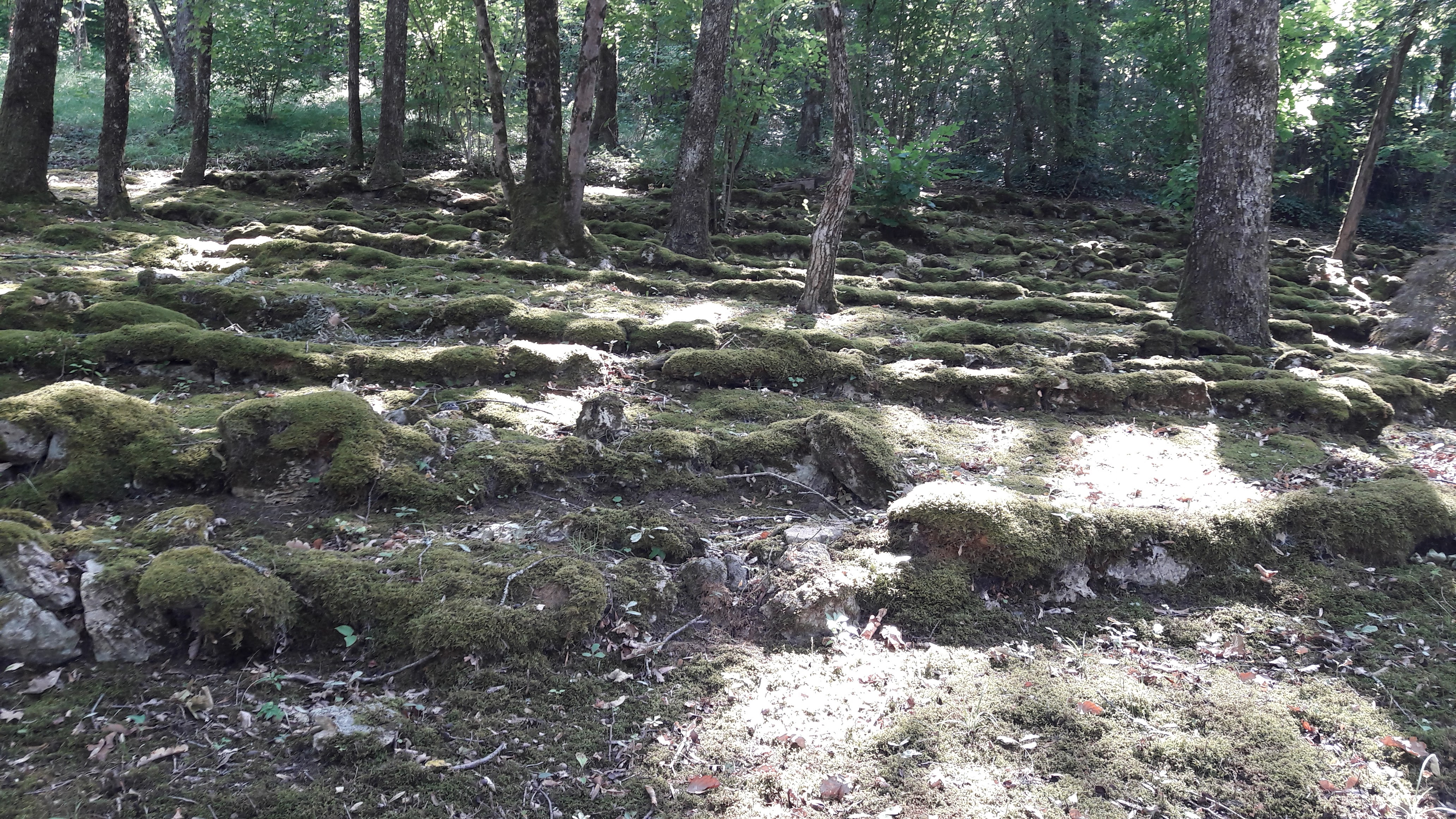 Photo n° 6 de l'avis de Marie.h fait le 27/08/2018 à 03:39
