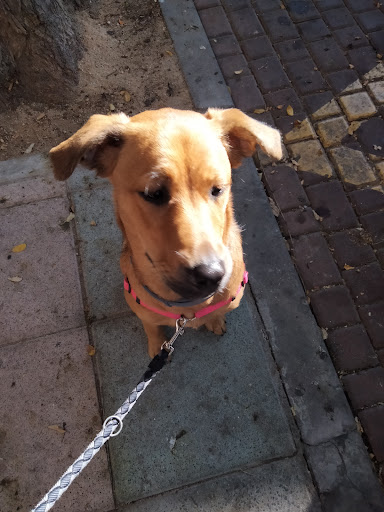 Alcobendas Clínica Veterinaria en Alcobendas