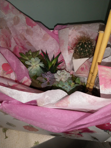 Florist «Lily & Vine floral Design», reviews and photos, 405 Migeon Ave, Torrington, CT 06790, USA