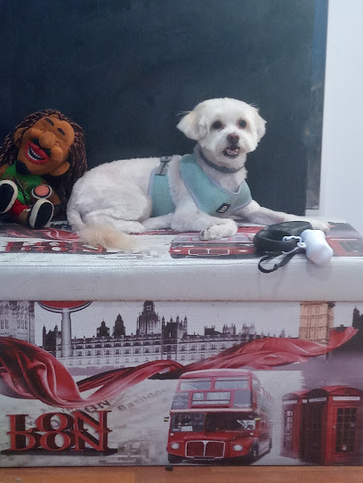 Peluqueria canina Animalook - Servicios para mascota en Córdoba