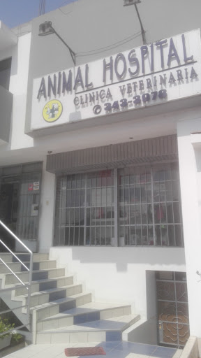 Veterinaria Animal Hospital Fresnos