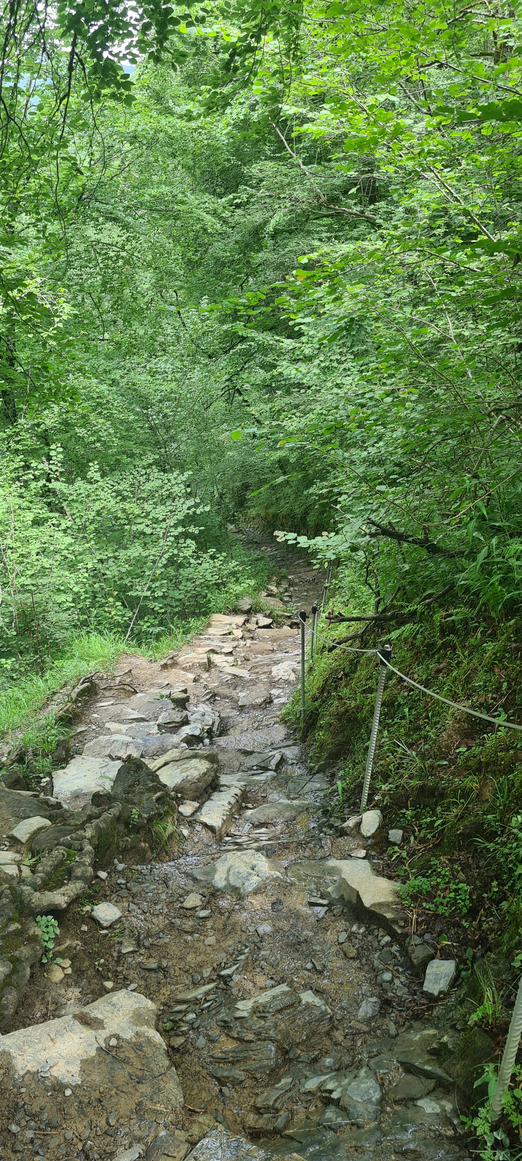 Photo n° 15 de l'avis de Nat.a fait le 02/07/2022 à 13:43