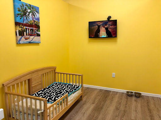 Pet Store «Bark Life Market», reviews and photos, 11220 Park Blvd N, Seminole, FL 33772, USA