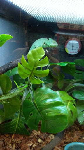 Pet Supply Store «Petco Animal Supplies», reviews and photos, 1500 N Town E Blvd, Mesquite, TX 75150, USA