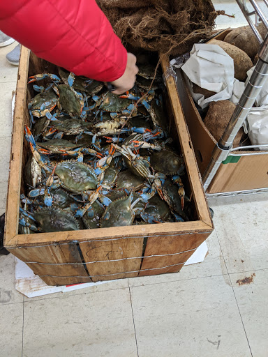 Grocery Store «Phuoc Binh Grocery», reviews and photos, 5301 S 3rd St, Louisville, KY 40214, USA