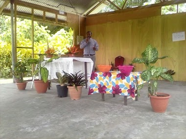 United Pentecoastal Church Huvivi
