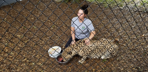 Tourist Attraction «Panther Ridge Conservation Center», reviews and photos, 14755 Palm Beach Point Blvd, Wellington, FL 33414, USA