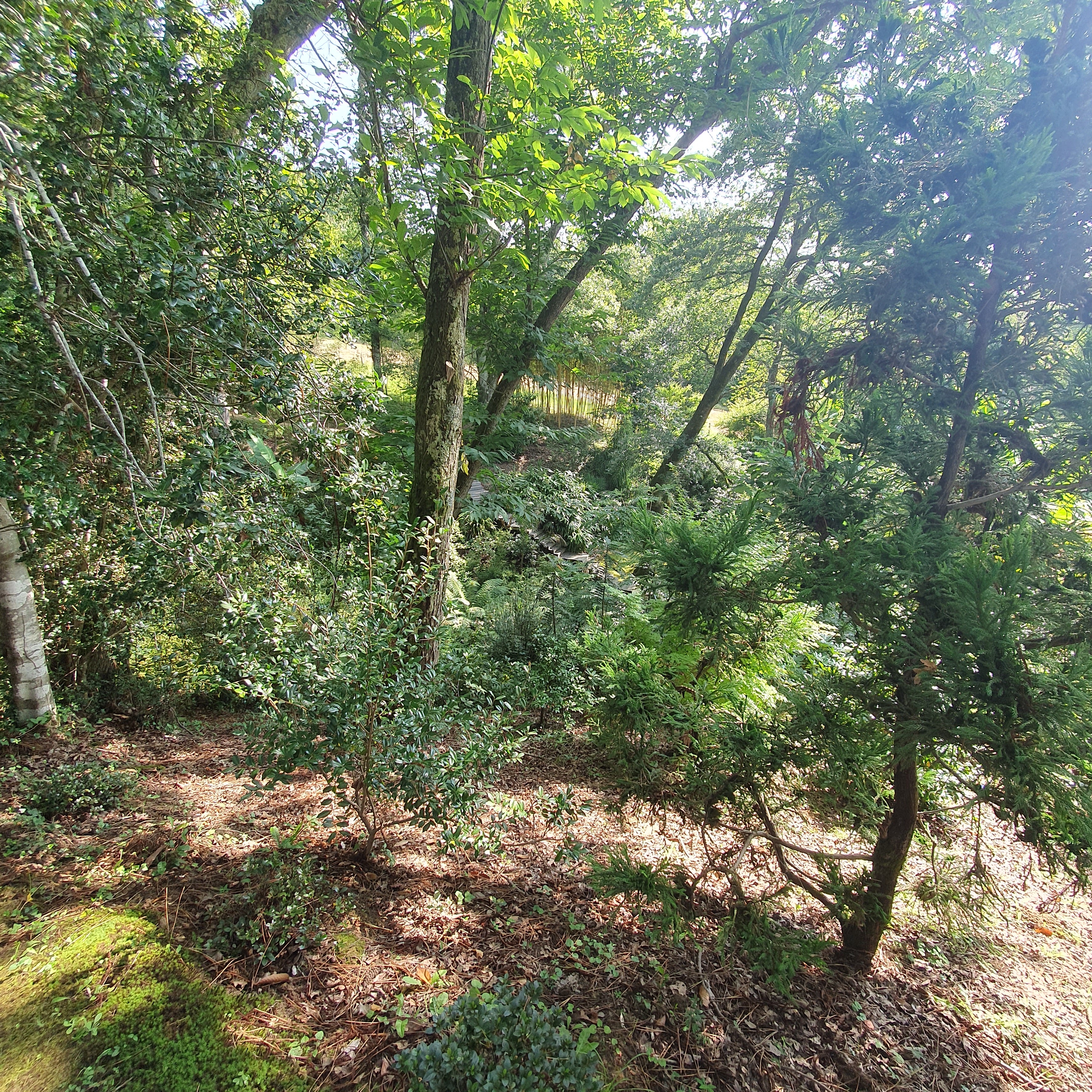 Photo n° 4 de l'avis de Marc.o fait le 23/07/2023 à 11:41