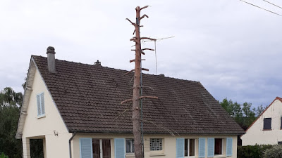 Oise elagage à Compiègne