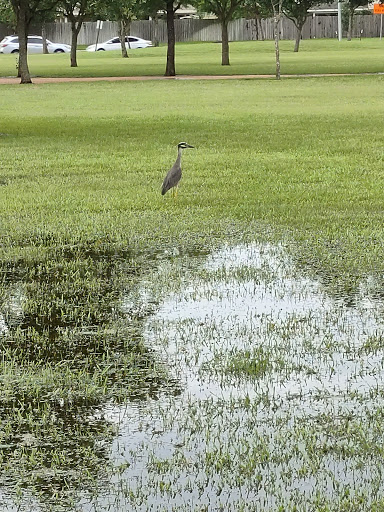 Park «Eagle Ranch West Pocket Park», reviews and photos, 5754 Eagle Sky Blvd, Katy, TX 77449, USA