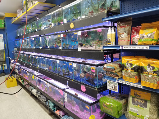 Pet Store «Petland Discounts - Willoughby», reviews and photos, 72 Willoughby St, Brooklyn, NY 11201, USA