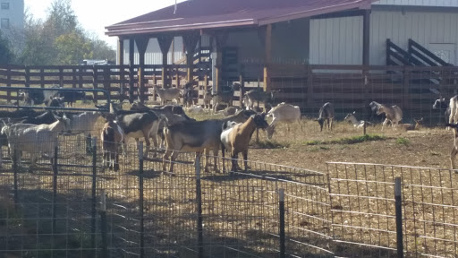 Farm «Goat Milk Stuff», reviews and photos, 76 S Lake Rd N, Scottsburg, IN 47170, USA