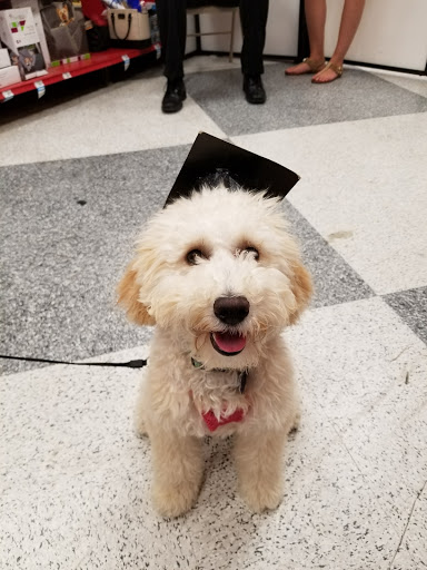 Pet Supply Store «Petco Animal Supplies», reviews and photos, 5500 Sunrise Hwy, Massapequa, NY 11758, USA