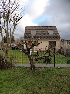 CAYEZ ELAGAGE | Elagueur Tailles Abattage 77 à Saint-Germain-sur-Morin