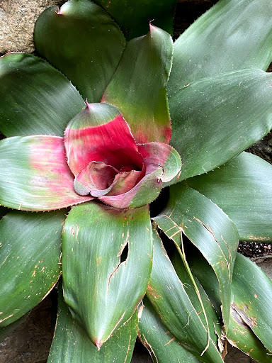 Aquarium «The Dallas World Aquarium», reviews and photos, 1801 N Griffin St, Dallas, TX 75202, USA