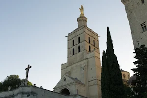 Avignon Cathedral image