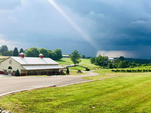 Winery «Lovers Leap Vineyards and Winery», reviews and photos, 1180 Lanes Mill Rd, Lawrenceburg, KY 40342, USA
