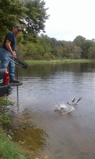Fishing Store «Indian Creek Fishing & Fire Arms», reviews and photos, 3479 Mango Dr, Danielsville, PA 18038, USA