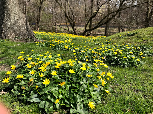 Golf Course «Maple Moor Golf Course», reviews and photos, 1128 North St, White Plains, NY 10605, USA