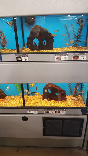 Pet Supply Store «Petco Animal Supplies», reviews and photos, 17235 Cole Rd, Hagerstown, MD 21740, USA