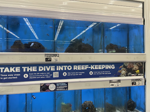 Pet Supply Store «Petco Animal Supplies», reviews and photos, 3452 W Chandler Blvd, Chandler, AZ 85226, USA