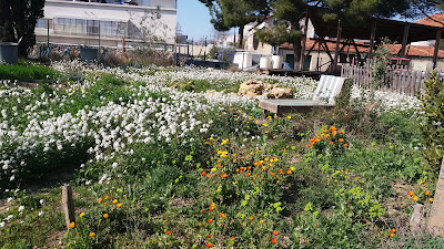 Le Belvédère de La Viste à Marseille