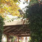 Photo n°5 de l'avis de Stefania.a fait le 02/11/2022 à 13:12 sur le  Osteria di Villafredda à Loneriacco