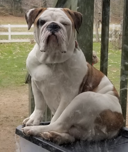 302 Old Clay St SE, Marietta, GA 30060, USA