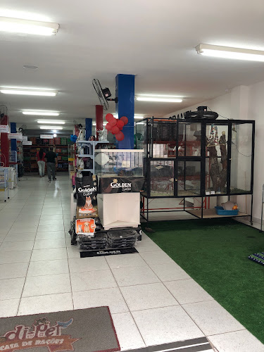 Dipet santa ines - Veterinário