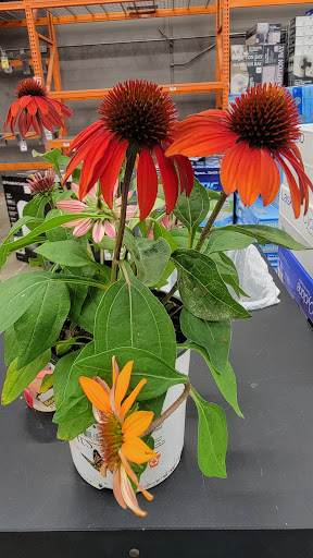 Home Improvement Store «The Home Depot», reviews and photos, 21010 Frederick Rd, Germantown, MD 20876, USA